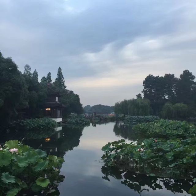 杭州曲院风荷攻略,杭州曲院风荷门票/游玩攻略/地址/图片/门票价格