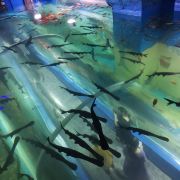 许昌海洋馆