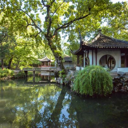 苏州+拙政园+乌镇+西栅夜游一日游【纯玩 品鉴江水乡园林】 苏州+拙政园+乌镇+西栅夜游一日游【纯玩 品鉴江水乡园林】