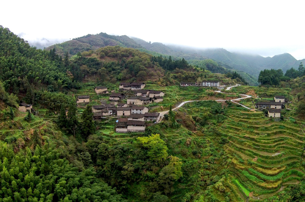 政和镇前茶溪村