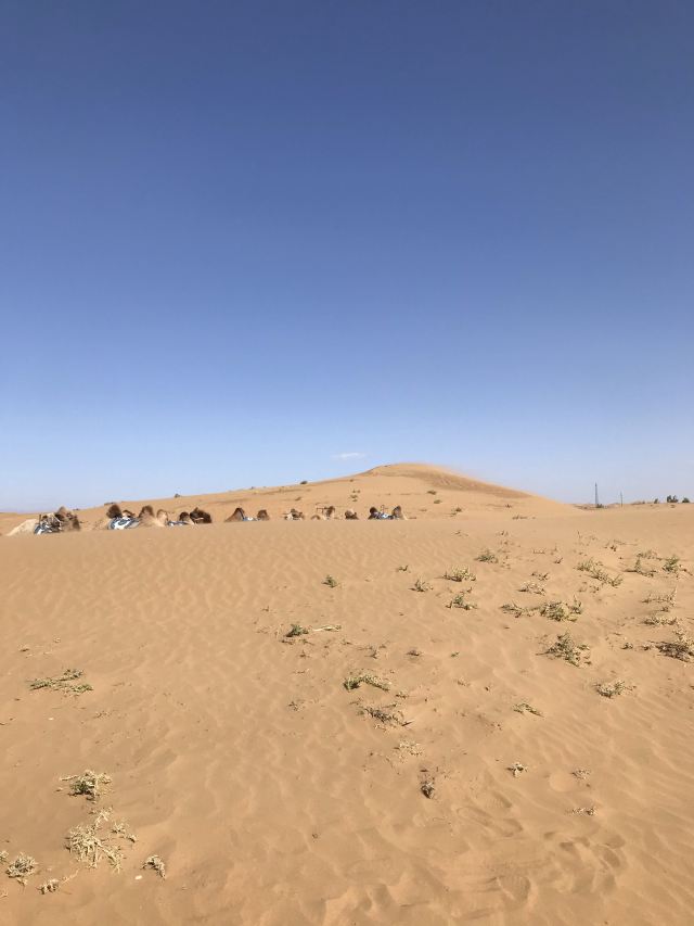 鄂尔多斯夜鸣沙旅游区攻略,鄂尔多斯夜鸣沙旅游区门票/游玩攻略/地址