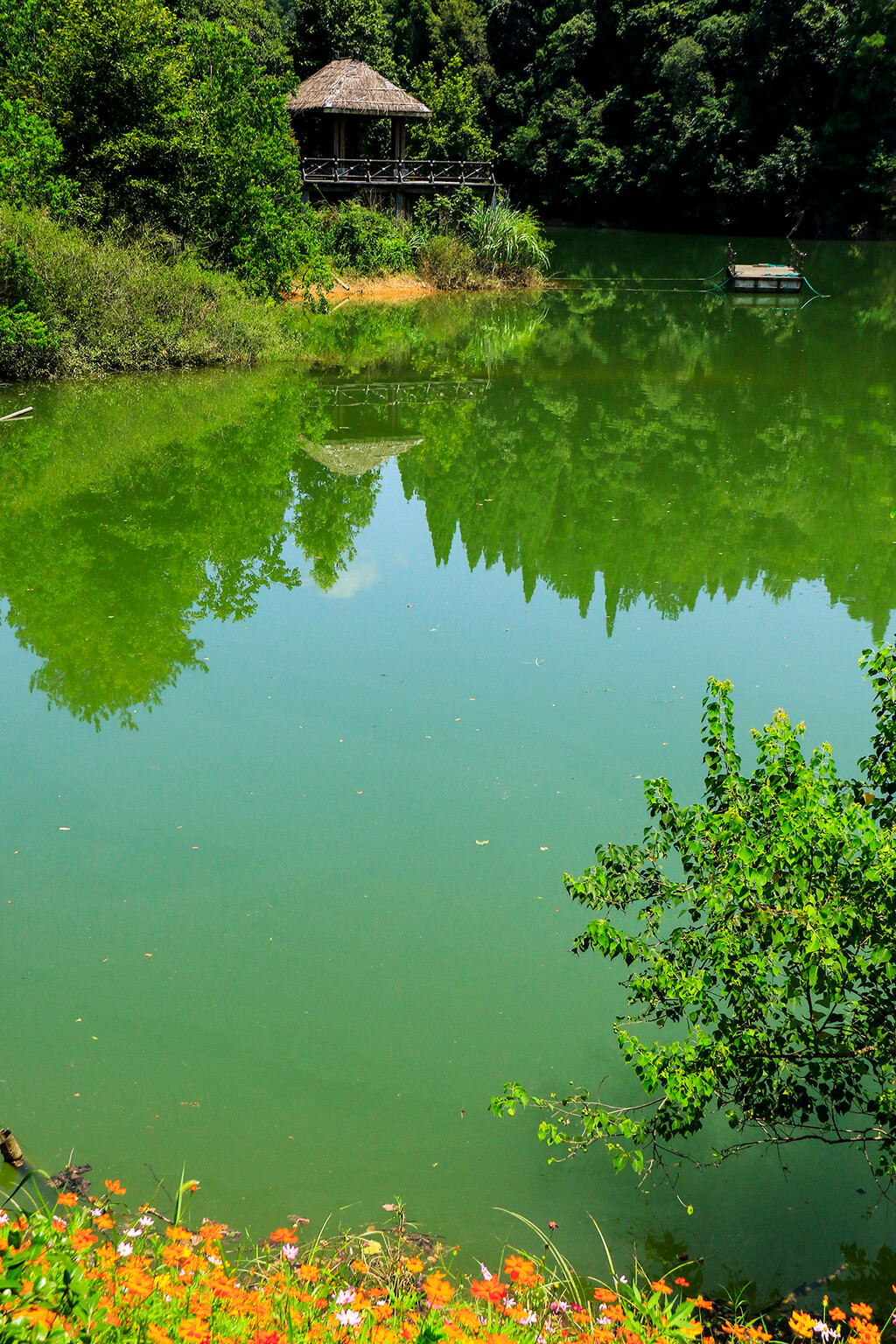 那清澈见底的湖水,那琥珀翠玉般碧绿的色彩,就像一个绿色的梦,特别的