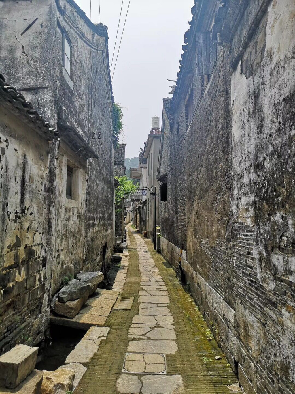 宿西山蔽月山房,观太湖东村古村