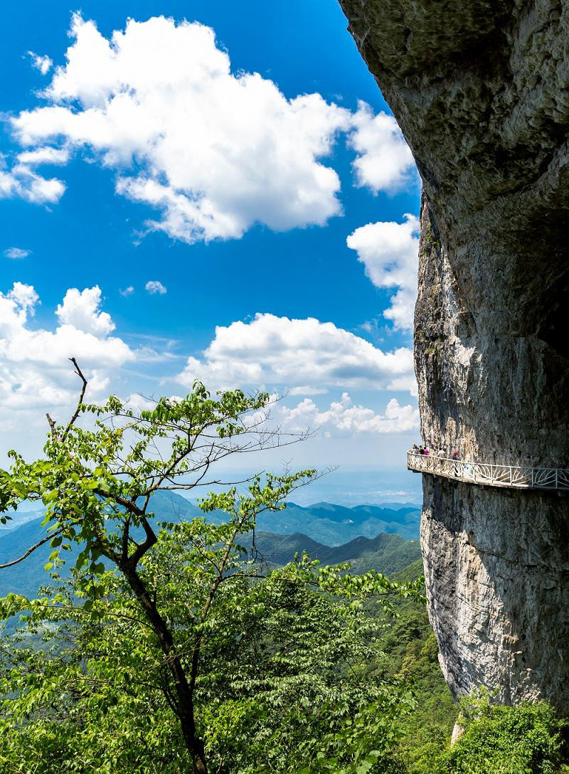 金佛山绝壁栈道,杜鹃公园步游道3月8日正式开放了!