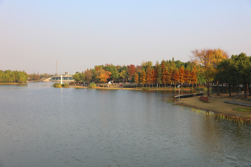 嘉定新城远香湖公园