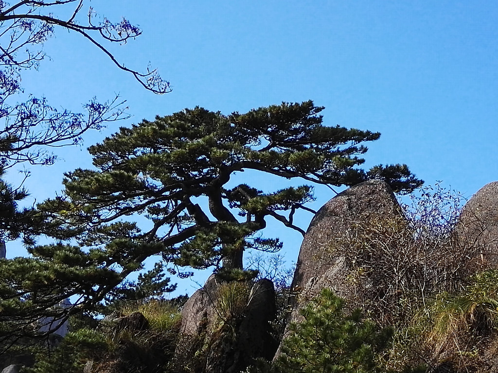 此山归来不看岳,天下第一奇山——黄山
