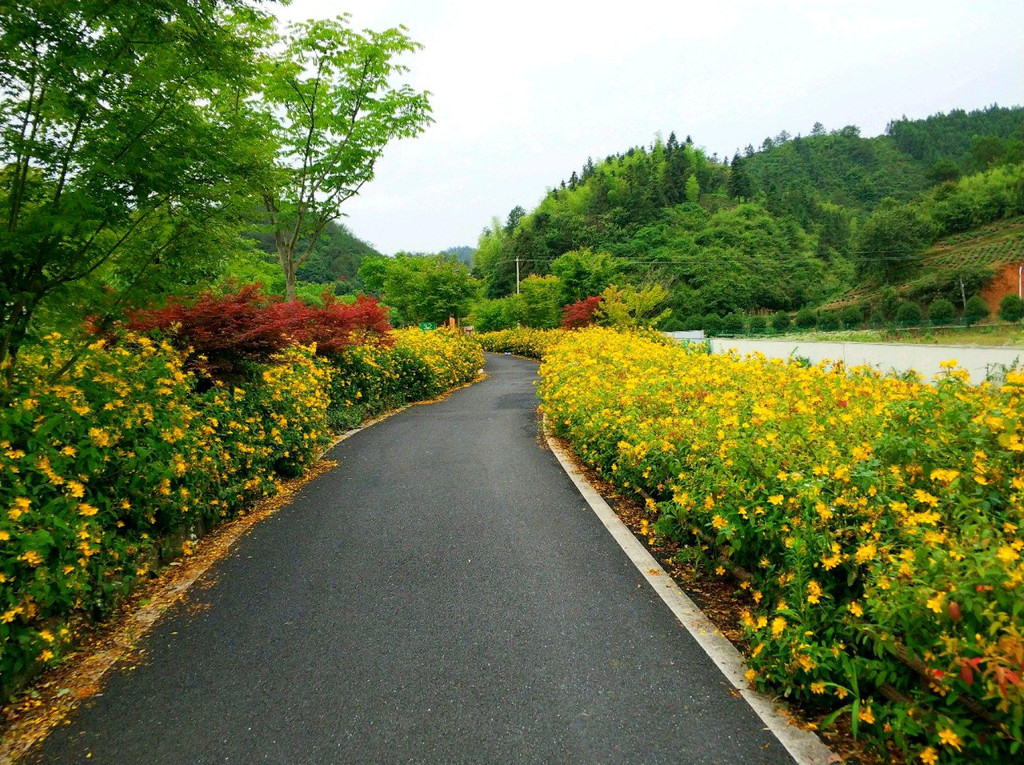 千岛湖环湖骑行june,2017