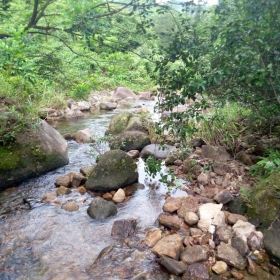 逍遥谷门票,中山逍遥谷攻略/地址/图片/门票价格