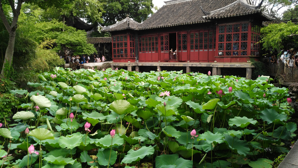 苏州夏天,苏州园林的夏天,苏州_大山谷图库