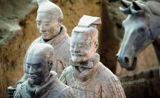 秦始皇兵马俑博物馆-西安-尊敬的会员