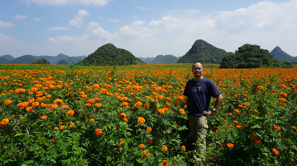 位于罗平县金鸡村,距县城客运站11公里,是拍摄油菜花最好的地方,也是