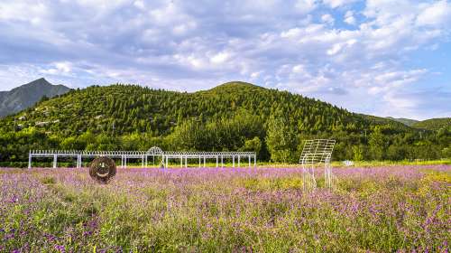 房山百花山景区门票,房山百花山景区门票价格,房山山