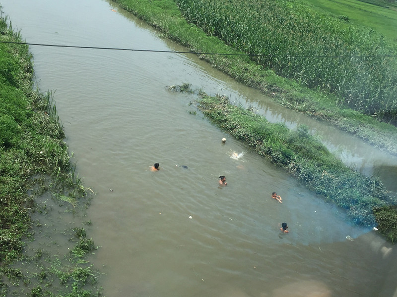闷热的天气,孩子们在小河里游泳.