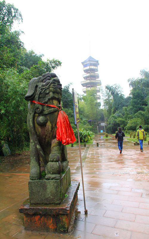 清风摇曳,竹影婆娑 day3:观海楼 蜀南竹海景区公路的最高处.