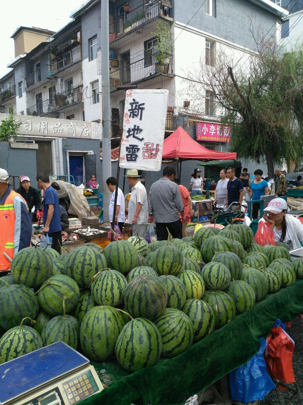 东北黑土地的玉米和早市                    