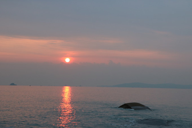 黄厝海滩