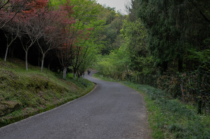 杭州建德梅城富春江绿道15公里徒步摄影游