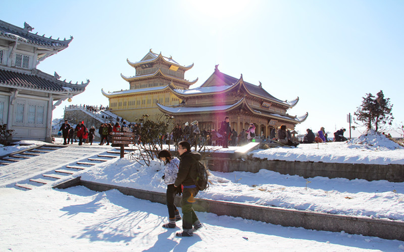 是峨眉山原始森林生态旅游区,有万佛阁,高山杜鹃林,黑熊沟,仙人回头等