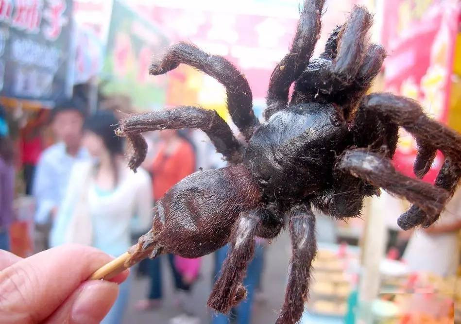 北石:这些年我在世界各地吃过这些看起来很恶心,吃起来很好吃的美食!