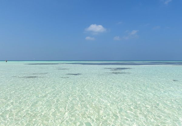 最后游到浅海区,退潮时刻整个海面非常透彻