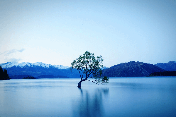 没有幸福的家庭,再富有,也只是一座牢笼 流动的云,静止的湖水,让着