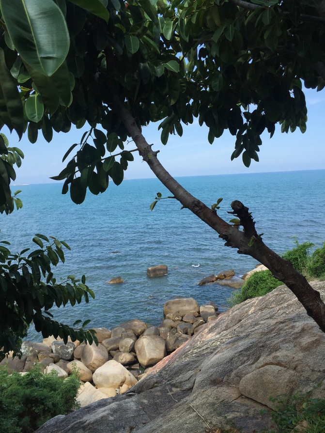 美餐一顿后,在沙滩上悠闲漫步,吹着轻柔的海风,听着动听的音乐,瞬间就忘记了白天的疲惫,沉浸在这美丽的海边夜色中。珍珠岛的白天更加美丽,椰林、泳池、沙滩椅、遮阳伞、蓝天白云共同构成了一幅美丽的画卷,看着这个画面一刹间仿佛置身马尔代夫,其实这也难怪,芽庄本就有着东方马尔代夫的称号。 最后一天是在游乐场畅游所有游乐项目,游乐场分为水上乐园和陆上乐园,和成都的欢乐谷和国色天香比较类似,不同的是它是建在海边,乐园与沙滩融为一体,也有更多的海上娱乐项目,别有一番风味。陆上项目最有意思的是高山滑车,排队都要1个小时,