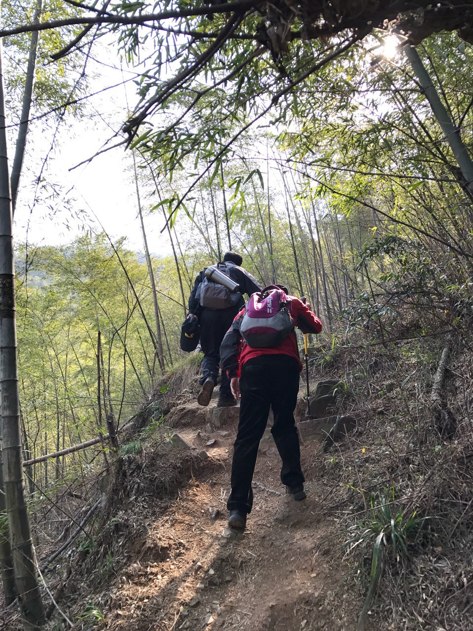 阳光明媚二月天 春风送我上青山 ——宜兴铜官山,长兴