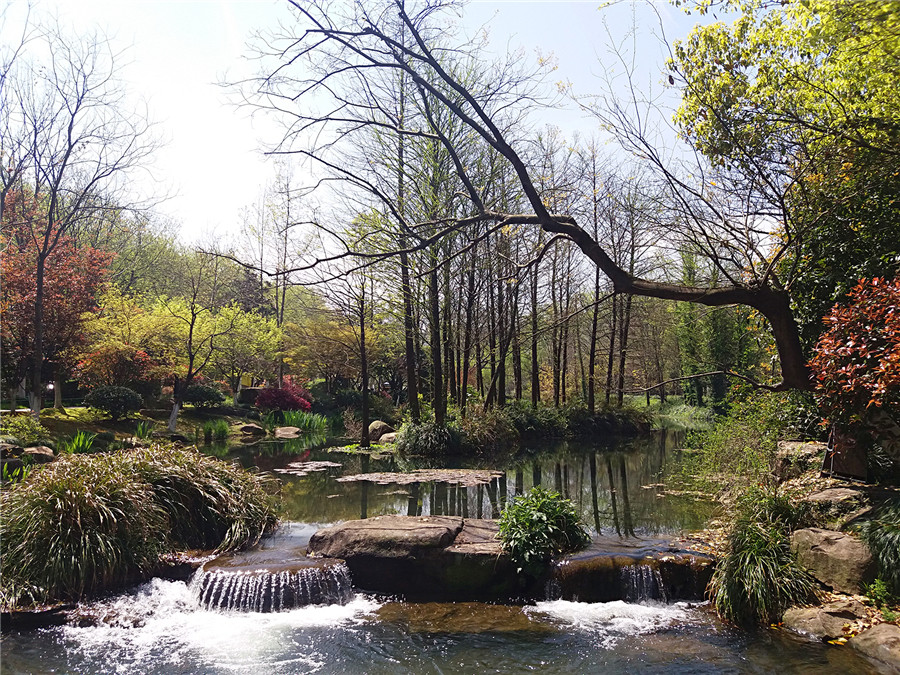 长桥溪水生态修复公园