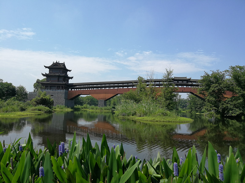 从市区可以坐公交到古堰画乡,起点丽水站(高铁站),203路到画乡(大港