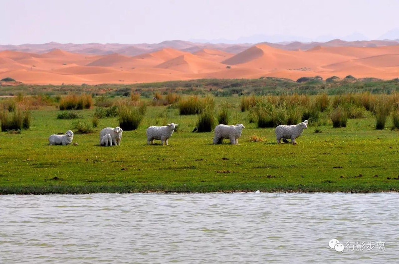 通湖草原旅游区主要由浩瀚的腾格里沙漠,绿草茵茵的草原,形形色色的