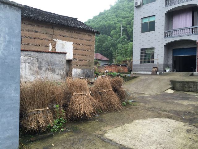 农村民宿一层设计图