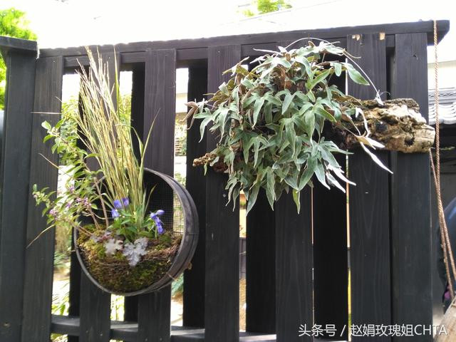 瓦片,雕塑,肉肉