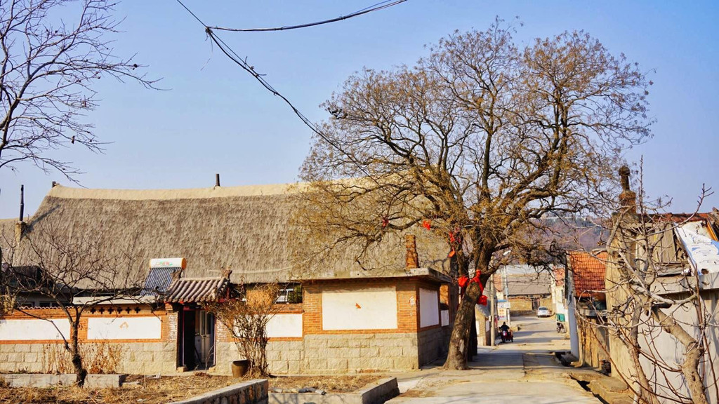 东烟墩村                                  