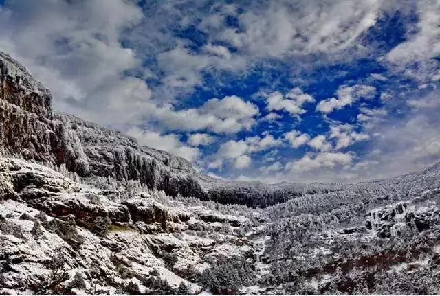 【山花十里,畅游你】光大轿子雪山,春风烂漫-不如v山花攻略61关星图片