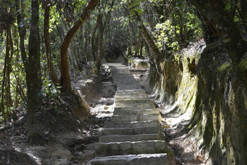 踏着七彩云来娶你丨腾冲云峰山游记
