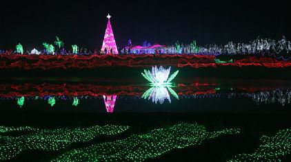 上海梦幻灯光节门票