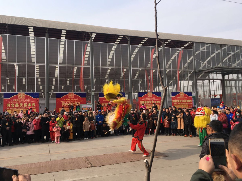 2017燕赵民俗风情庙会20170129(肖家营,石家庄市,河北省)