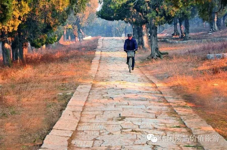 孟林,位于邹城市大束镇四基山西南麓,是孟子及其后裔的墓地,又称"亚圣