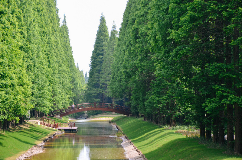 黄海国家森林公园