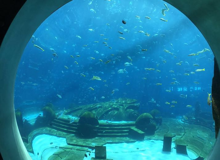 亚特兰蒂斯失落的空间水族馆