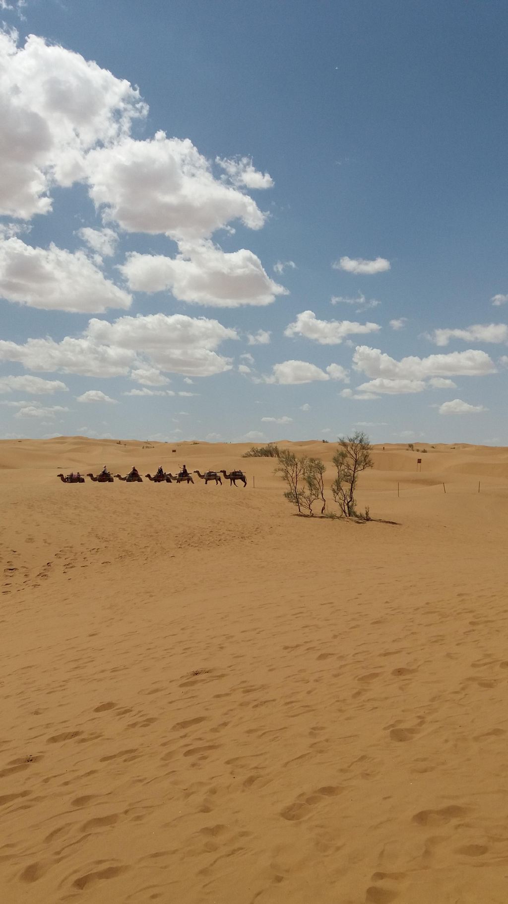 沙漠|摄影|人像摄影|走在路上的小白 - 原创作品 - 站酷 (ZCOOL)