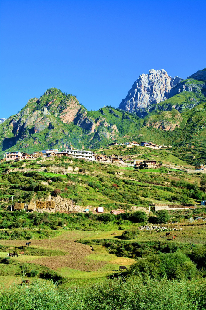 夏宁葆去甘肃迭部,扎尕那旅游.