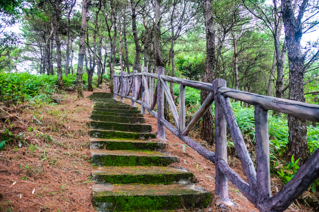 泰康山生态旅游区