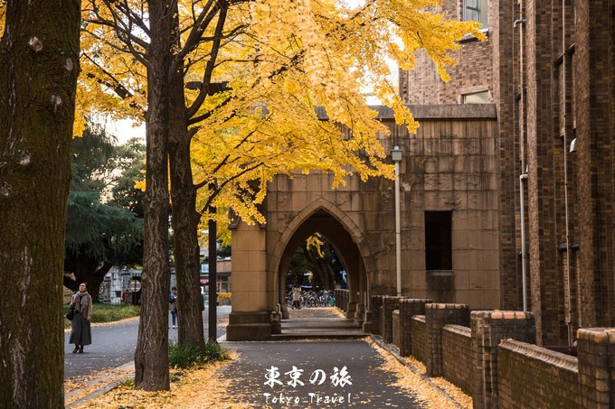 东京大学