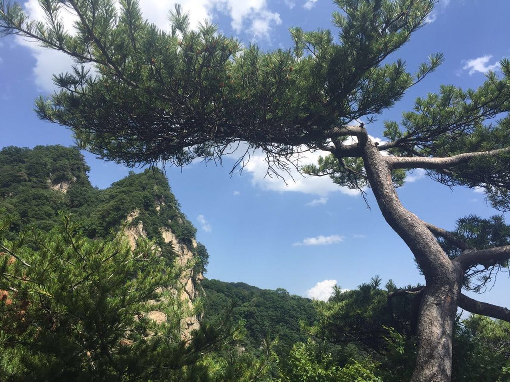 下图为蓝田鲸鱼沟 下图为辋川溶洞 下图为秦岭野生动物园 下图为最美