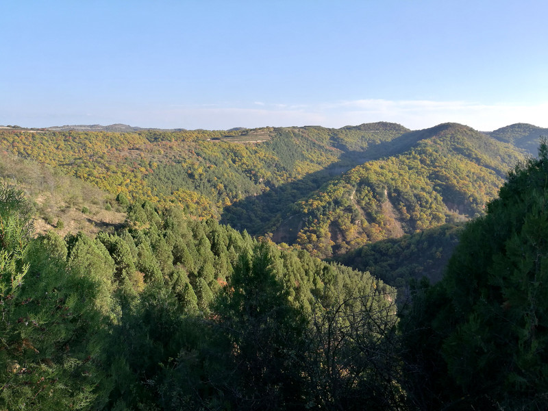 晋,陕自驾游--洛川苹果园,甘泉雨岔大峡谷