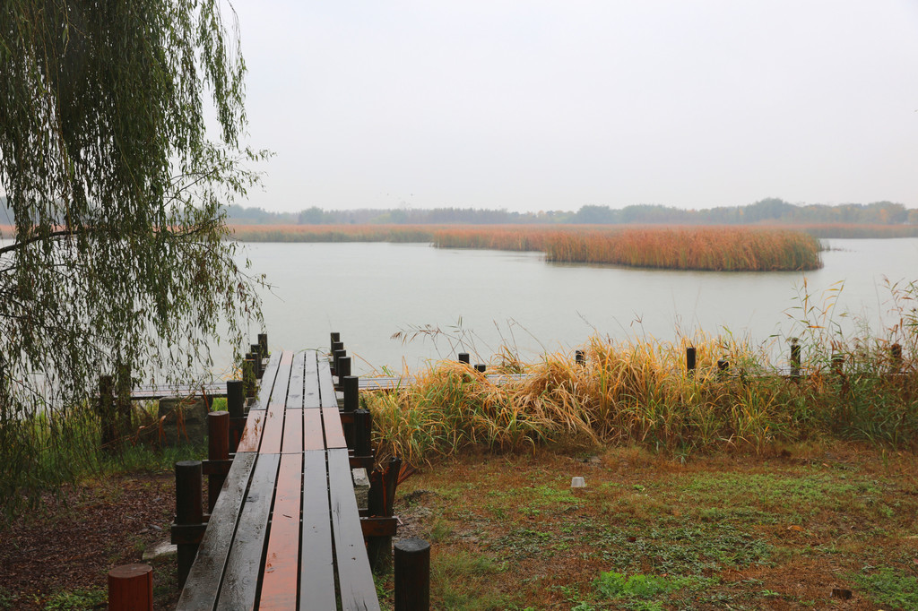 昆山巴城阳澄湖湿地公园