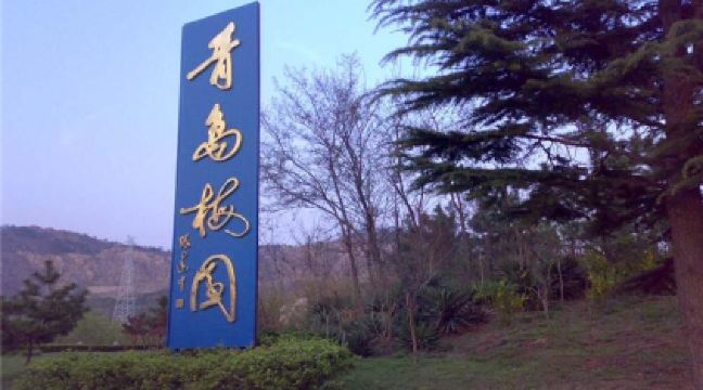十梅庵风景区位于崂山脚下,青岛市李沧区.
