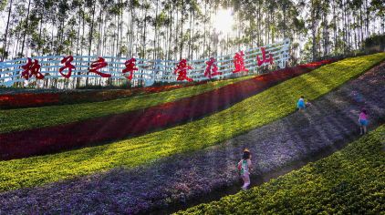 福建漳州十里蓝山门票