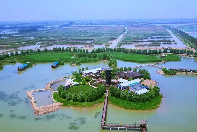 人间仙境,旅游胜地——扬州高邮湖芦苇荡湿地公园